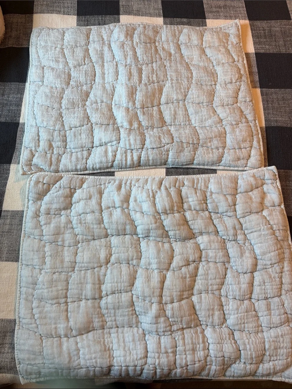 Pottery Barn Light blue Quilted Pillow Shams - Pair